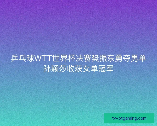 乒乓球WTT世界杯决赛樊振东勇夺男单孙颖莎收获女单冠军