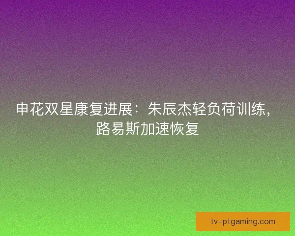 申花双星康复进展：朱辰杰轻负荷训练，路易斯加速恢复